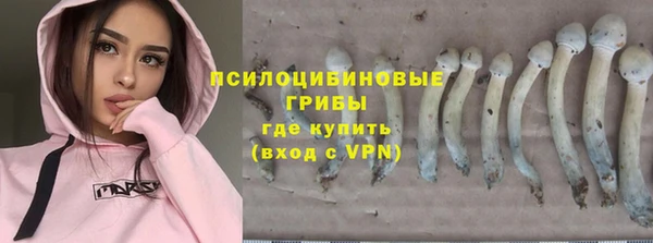 jwh Аркадак