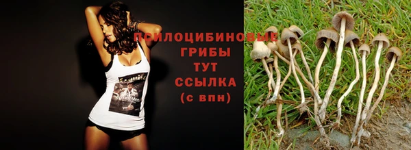 марки nbome Армянск