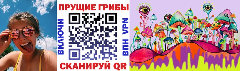 Галлюциногенные грибы MAGIC MUSHROOMS  Купить где  Светогорск 