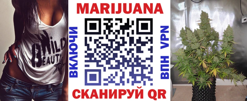 Бошки марихуана THC 21%  Купить где  Светогорск 
