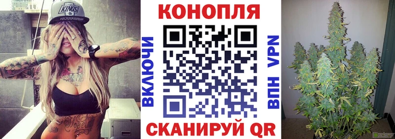 МАРИХУАНА конопля Светогорск